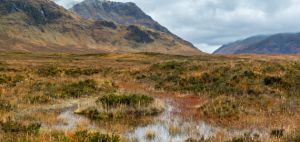 UK Government provides £16 million to fund peatland restoration